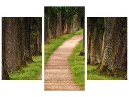 modern-3-piece-canvas-print-a-path-in-the-forest