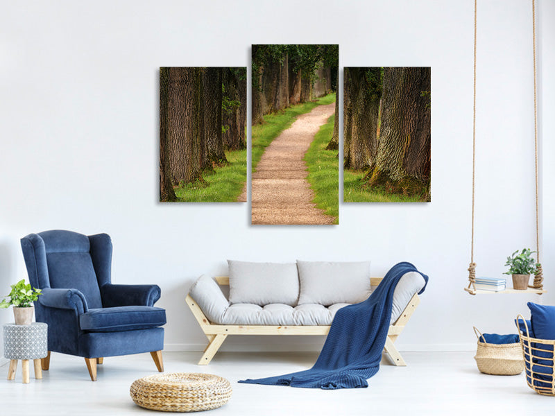 modern-3-piece-canvas-print-a-path-in-the-forest