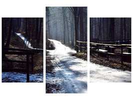 modern-3-piece-canvas-print-a-path-in-the-snow