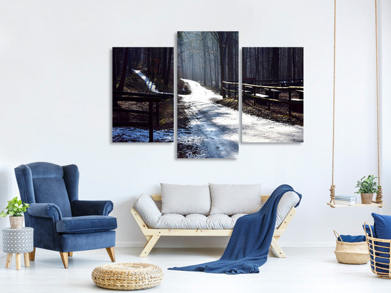 modern-3-piece-canvas-print-a-path-in-the-snow