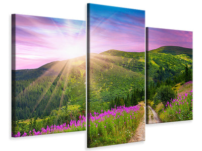 modern-3-piece-canvas-print-a-summer-landscape-at-sunrise