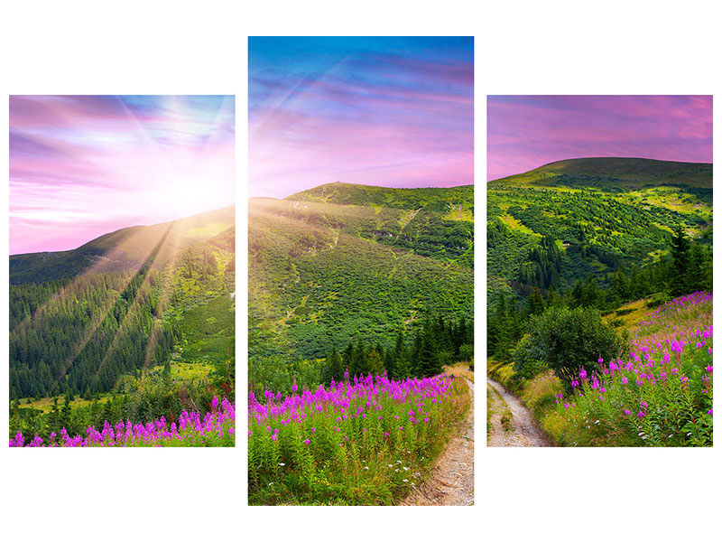 modern-3-piece-canvas-print-a-summer-landscape-at-sunrise