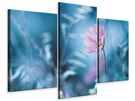 modern-3-piece-canvas-print-a-walk-in-dreamland