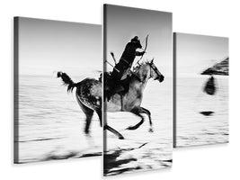 modern-3-piece-canvas-print-action