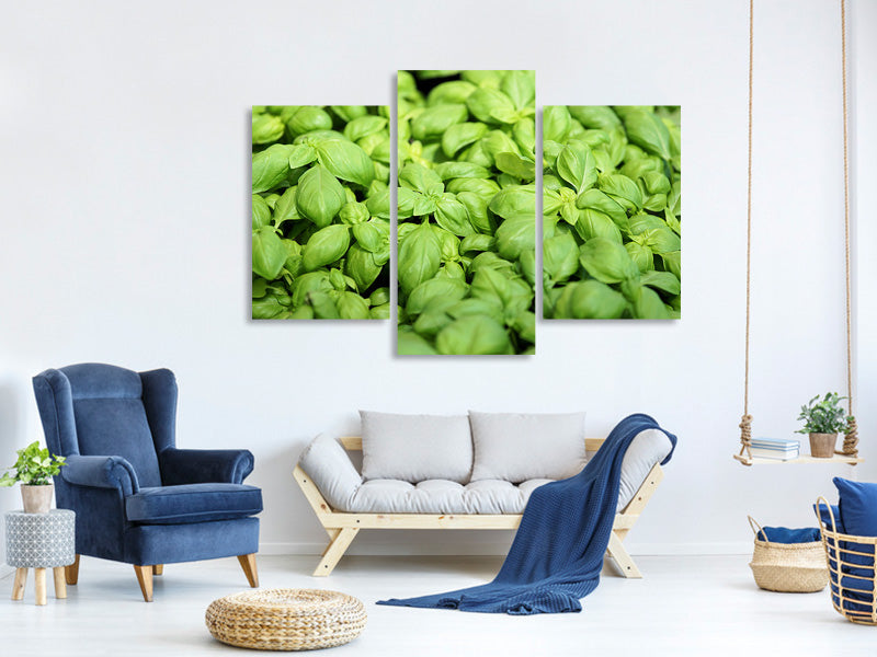 modern-3-piece-canvas-print-all-basil