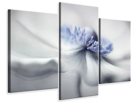 modern-3-piece-canvas-print-anemone-spirit