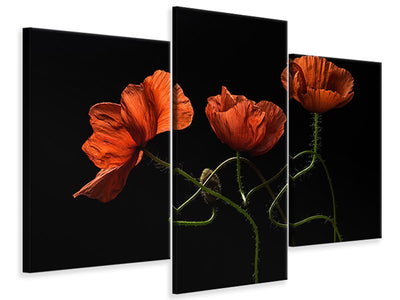 modern-3-piece-canvas-print-around-midnight