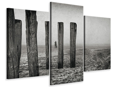 modern-3-piece-canvas-print-astray