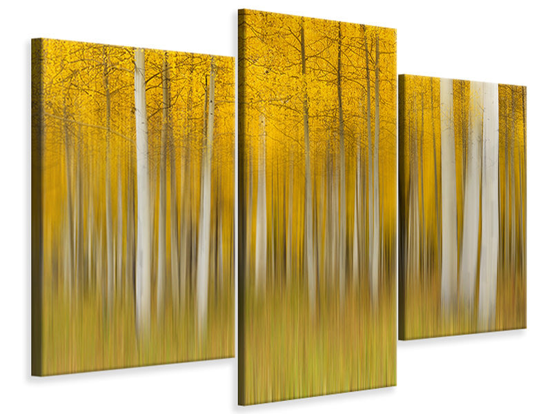 modern-3-piece-canvas-print-autumn-dream-ii