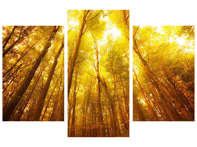 modern-3-piece-canvas-print-autumn-forest