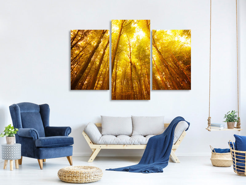 modern-3-piece-canvas-print-autumn-forest