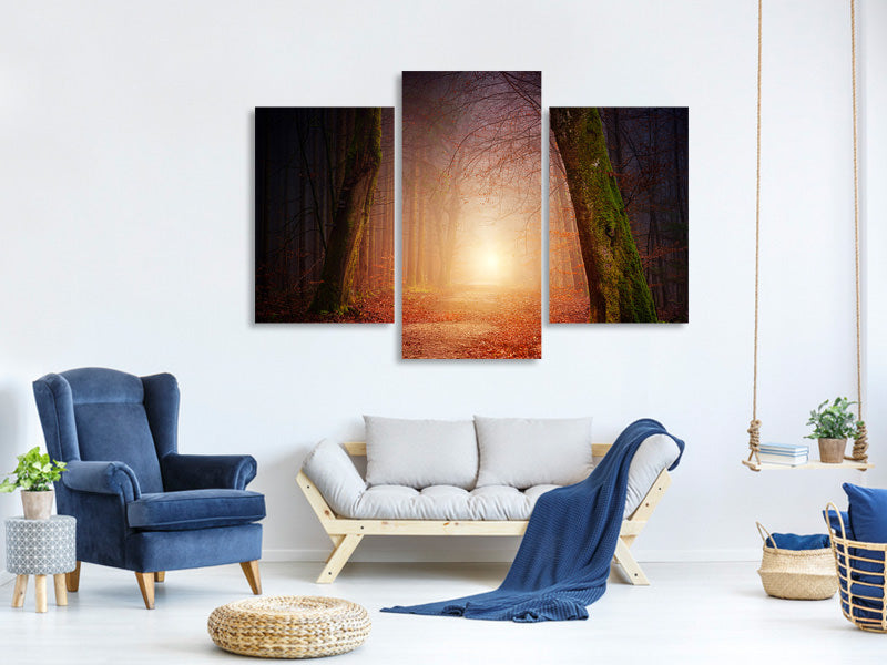 modern-3-piece-canvas-print-autumn-in-the-woods