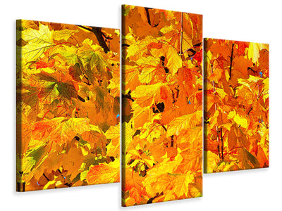 modern-3-piece-canvas-print-autumn-leaves-ii