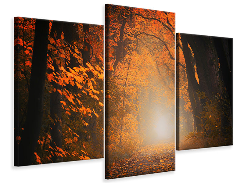 modern-3-piece-canvas-print-autumn-light-in-the-forest