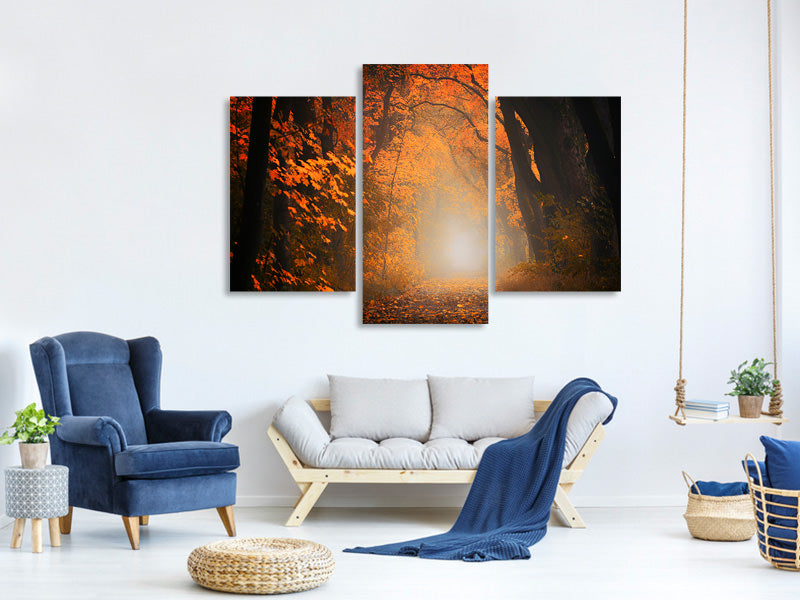 modern-3-piece-canvas-print-autumn-light-in-the-forest