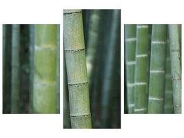 modern-3-piece-canvas-print-bamboo-in-xxl