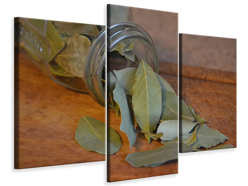 modern-3-piece-canvas-print-bay-leaves