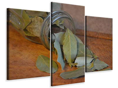 modern-3-piece-canvas-print-bay-leaves