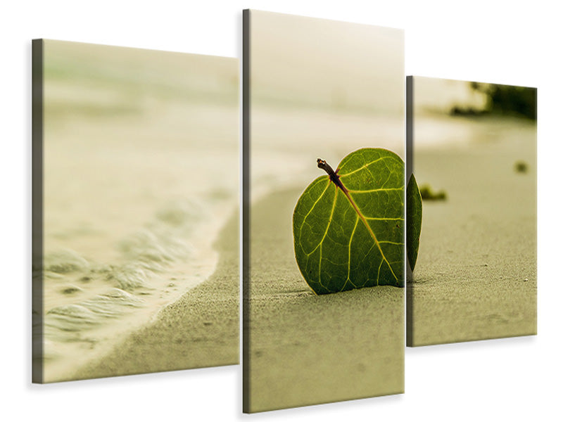 modern-3-piece-canvas-print-beach-leaf