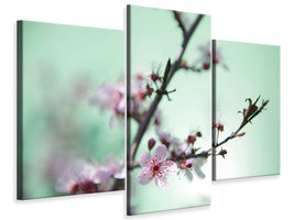 modern-3-piece-canvas-print-beautiful-japanese-cherry-blossom