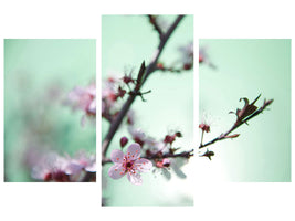 modern-3-piece-canvas-print-beautiful-japanese-cherry-blossom