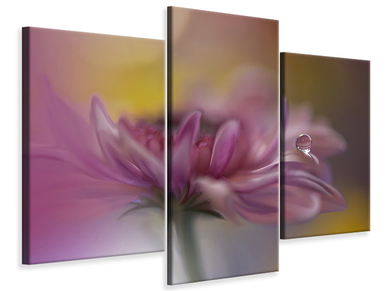 modern-3-piece-canvas-print-beyond-words