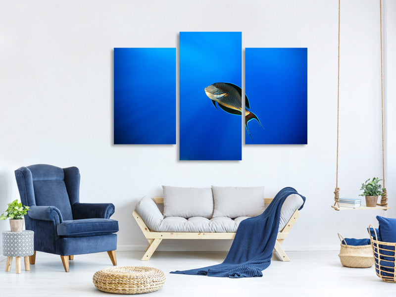 modern-3-piece-canvas-print-blu