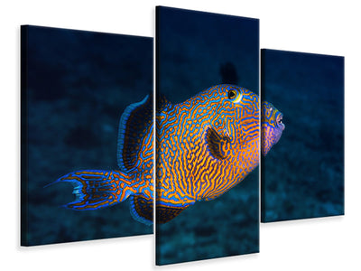 modern-3-piece-canvas-print-blue-triggerfish