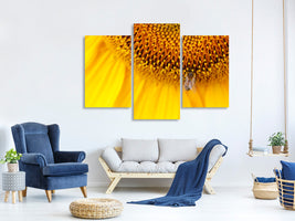 modern-3-piece-canvas-print-close-up-yellow-bud