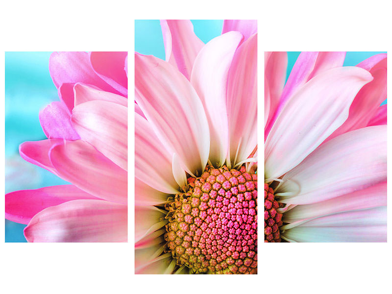 modern-3-piece-canvas-print-colored-flower