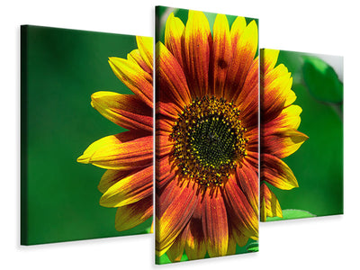 modern-3-piece-canvas-print-colorful-sunflower
