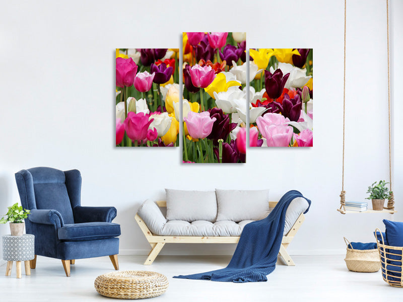 modern-3-piece-canvas-print-colorful-tulip-field