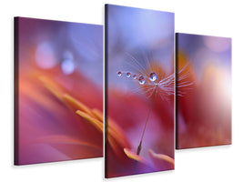 modern-3-piece-canvas-print-dance-in-the-light