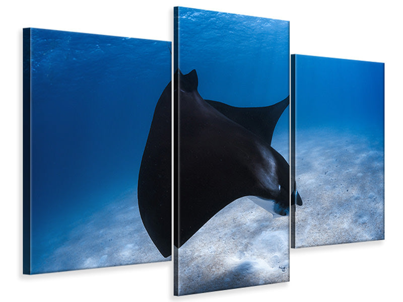 modern-3-piece-canvas-print-dancing-manta