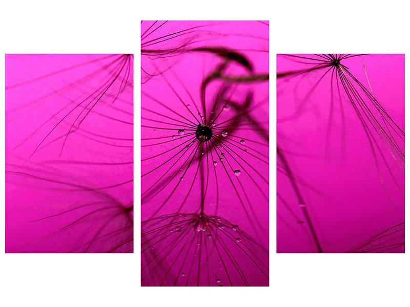 modern-3-piece-canvas-print-dandelion-in-pink