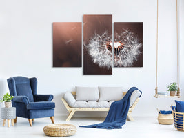 modern-3-piece-canvas-print-dandelion-in-the-evening-light