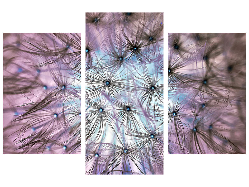 modern-3-piece-canvas-print-dandelion-in-the-light-play