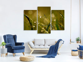 modern-3-piece-canvas-print-dew-in-the-morning