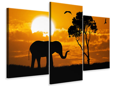 modern-3-piece-canvas-print-dreamy-africa