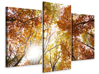 modern-3-piece-canvas-print-enlightened-autumn-trees