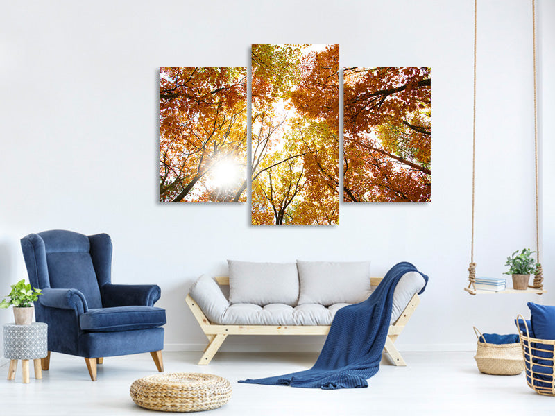 modern-3-piece-canvas-print-enlightened-autumn-trees