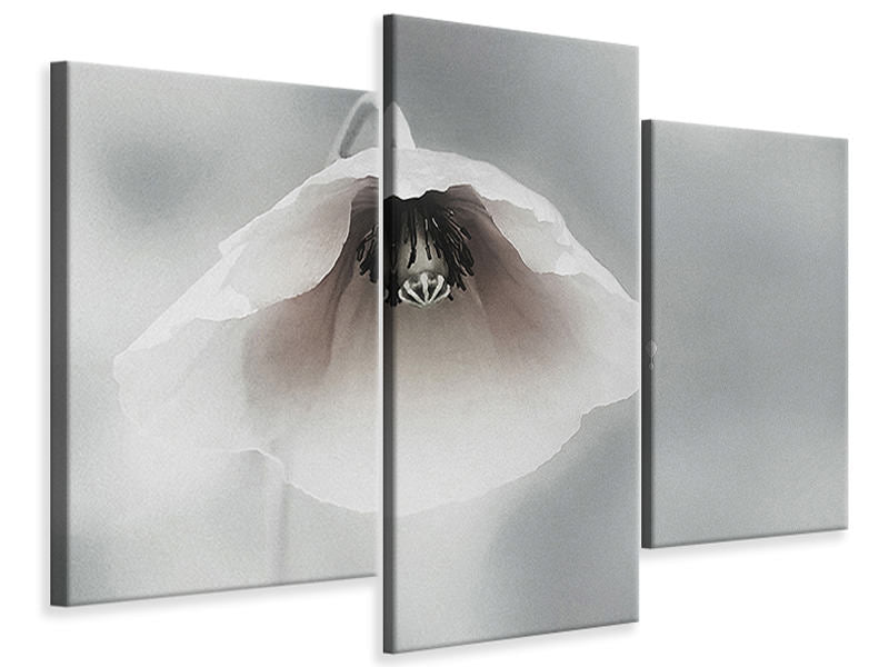 modern-3-piece-canvas-print-ephemeral-beauty-ii