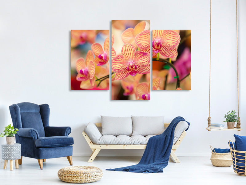 modern-3-piece-canvas-print-exotic-orchids