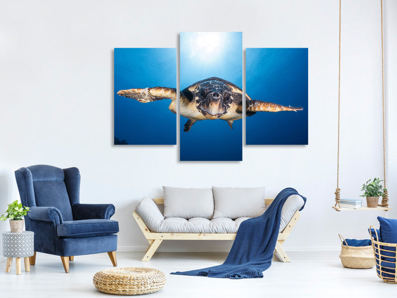 modern-3-piece-canvas-print-face-to-face-with-a-hawksbill-sea-turtle