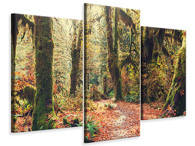 modern-3-piece-canvas-print-fairies-forest