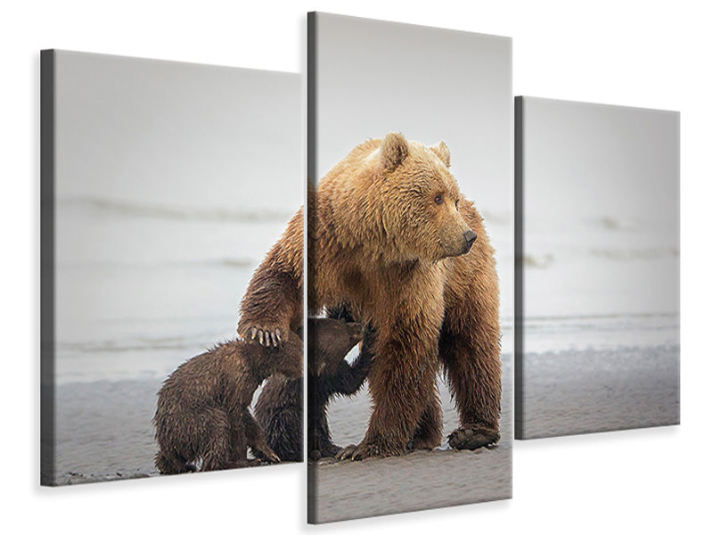 modern-3-piece-canvas-print-family-time