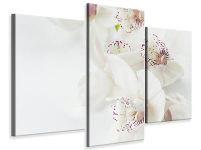 modern-3-piece-canvas-print-fantastic-orchids