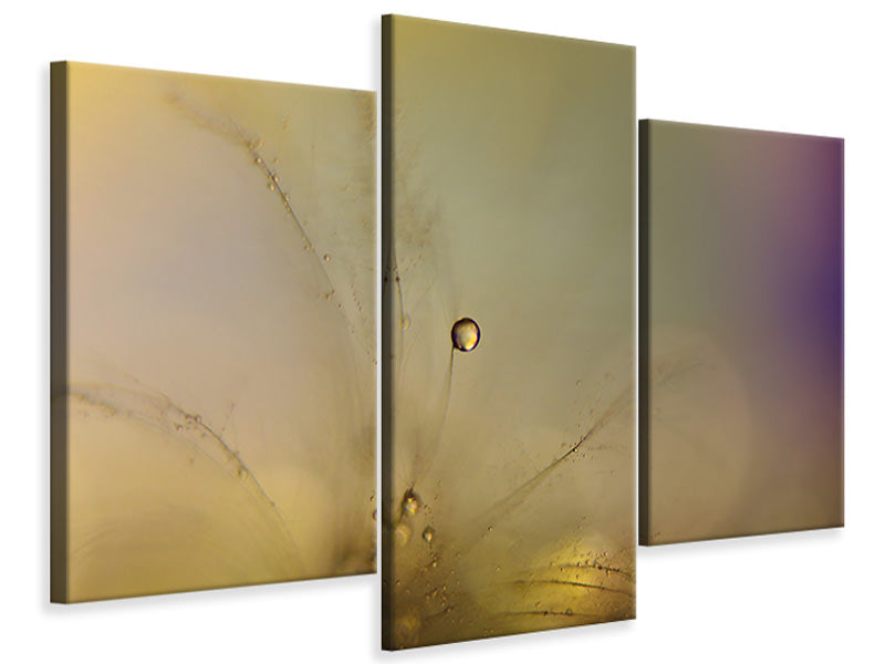 modern-3-piece-canvas-print-feeling-of-a-new-day