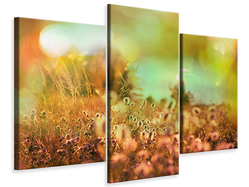 modern-3-piece-canvas-print-flower-meadow-at-twilight