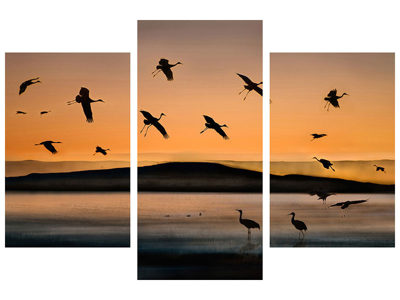 modern-3-piece-canvas-print-fly-in-at-sunset